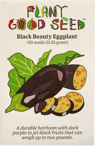 Miniatura 3 de Aswad - Semillas de berenjena – Paquete de 50 semillas de verduras certificadas orgánicas, sin OMG, polinizadas abiertas, sin tratar, para plantar