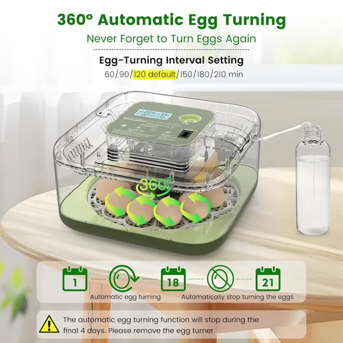 Miniatura 2 de Incubadora de 12 huevos con giro automático, recarga automática de agua y control de temperatura/humedad, además de guía de eclosión, criador