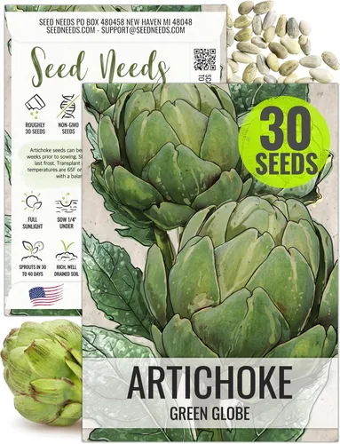 Seed Needs Semillas de alcachofa para plantar alcachofas de globo verde, reliquia sin OMG y sin tratar, cultiva un huerto cultivado en casa al aire