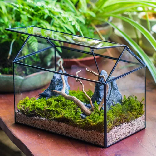 Miniatura 7 de NCYP Terrario de cristal con forma de casa con tapa acrílica, 10.2 x 5.9 x 8.2 pulgadas, caja de terrario geométrica grande de mesa para caracoles