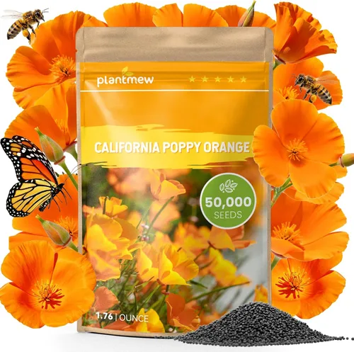 Miniatura 8 de Semillas de amapola naranja de California para plantar, paquete a granel de 0.35 onzas, más de 10,000 semillas nativas, flor del estado de California