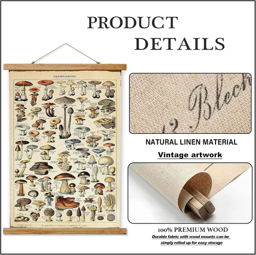 Miniatura 3 de Ovfovy Póster vintage de hongos con marco de madera, estilo retro de pintura botánica de pared, póster de tabla de referencia ilustrativa para sala