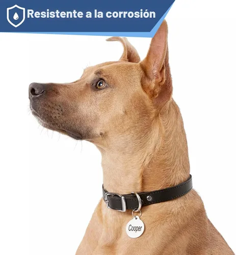 Miniatura 4 de Placa de identificación para mascotas, de acero inoxidable, etiquetas personalizadas para perros y gatos, hasta 8 líneas de texto personalizado