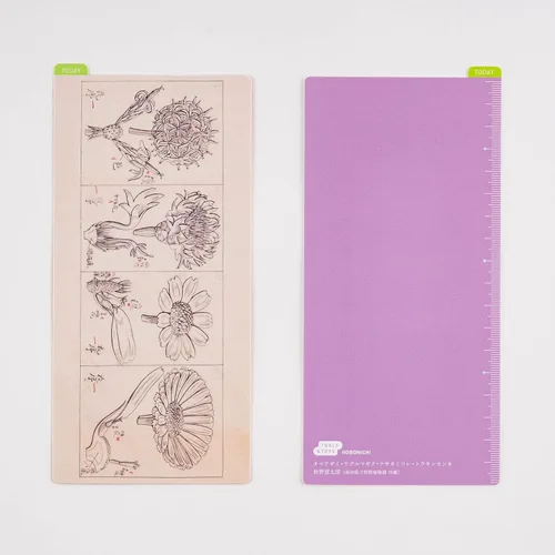 Miniatura 4 de Hobonichi Techo Accessories Tomitaro Makino: Tablero de lápices Hobonichi para tamaño A6 (Tomitaro Makino)