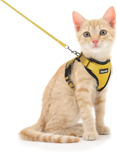 Miniatura 30 de Dooradar Juego de arnés y correa para gato, chaleco ajustable seguro a prueba de escapes, para caminar, chaqueta de malla suave y transpirable