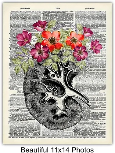 Miniatura 5 de Decoración artística de pared de corazón, cráneo, cerebro, pulmones, riñón, hígado, decoración de habitación de anatomía humana, decoración