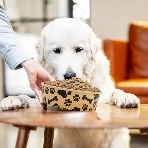Miniatura 5 de Whaline 50 cuencos desechables para mascotas de 16 onzas, papel kraft para perros y gatos, pequeños cuencos de comida con diseño de huella de pata