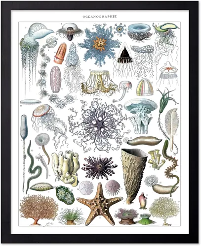 Miniatura 86 de Poster Master Póster vintage de miel, impresión retro de La Vie De L'Abeille, arte de panal de abeja, arte de pared de abeja, regalo para hombres