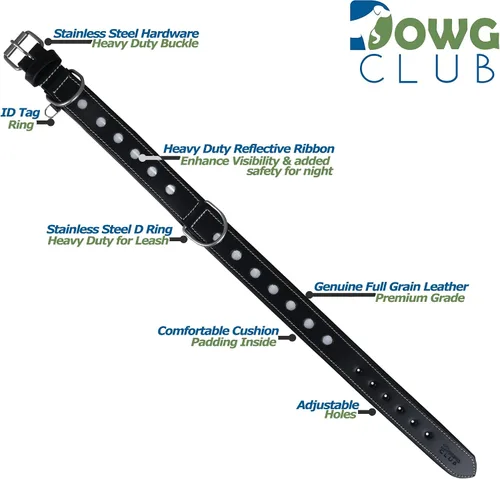Miniatura 2 de Collar de Perro de Cuero Genuino Grano Completo, Resistente Cómodo, Acolchado, Fuerte Ideal para Cachorros, Razas Pequeñas, Medianas
