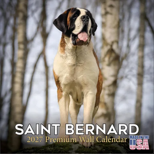 Miniatura 58 de Calendario amarillo 2025 2026 de Labrador Pups – Calendario mensual de pared de raza de perro – 12" x 24" abierto – Papel grueso anti-traspaso
