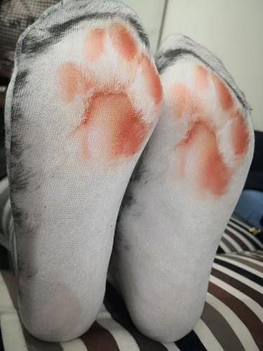 Miniatura 4 de Divertidos calcetines de patas de animal para intercambio de regalos.