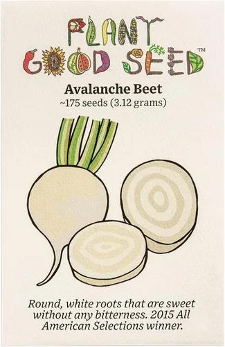Miniatura 3 de Plant Good Seed Organic Merlin F1 - Semillas de remolacha roja, paquete de 125, semillas tradicionales para plantar verduras, suministros