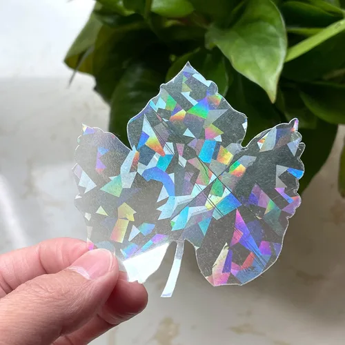 Miniatura 12 de Calcomanías holográficas para ventana para golpes de pájaros, recordatorio de vidrio, calcomanías autoadhesivas anticolisión, evita que los pájaros