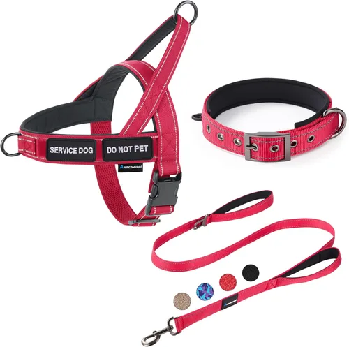 Miniatura 7 de Annchwool Arnés para perro sin tirones, juego de collar y correa reflectante resistente - Correa para perro con doble asa y clip de cinturón