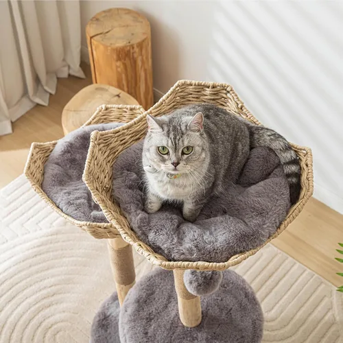 Miniatura 4 de Moderno árbol para gatos de interior para adultos grandes, torre de madera para gatos grandes de 46.5 pulgadas de alto para gatos grandes con poste