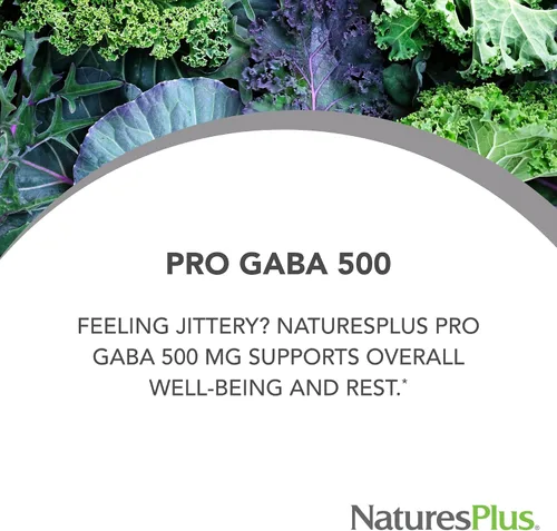 Miniatura 2 de NaturesPlus PRO GABA 500 mg - 60 cápsulas - Sin OMG, vegano, sin gluten - 60 porciones
