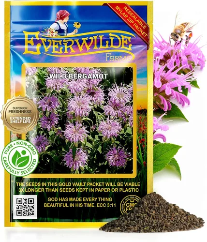 Everwilde Farms - Semillas de flores silvestres nativas de bergamota silvestre de 1 onza - Gold Vault