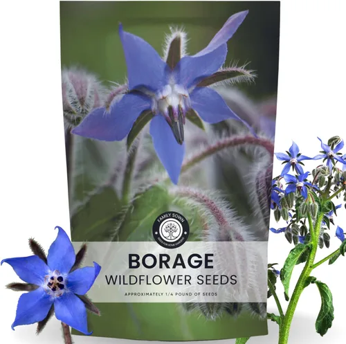 Miniatura 8 de Borraja – 1,000 semillas para plantar – Temporada 2026 – Bolsa de 1 onza