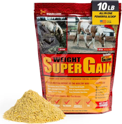 Horse Guard Súper aumento de peso de 10 libras – Suplemento 3 en 1 para ganar peso de caballo con soja entera, probióticos y vitaminas – Apoya la