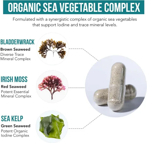 Miniatura 3 de Suplemento de yodo orgánico – 1,500 mcg de yodo, máxima potencia – de complejo de vegetales marinos, alimento integral y forma cruda – Contiene