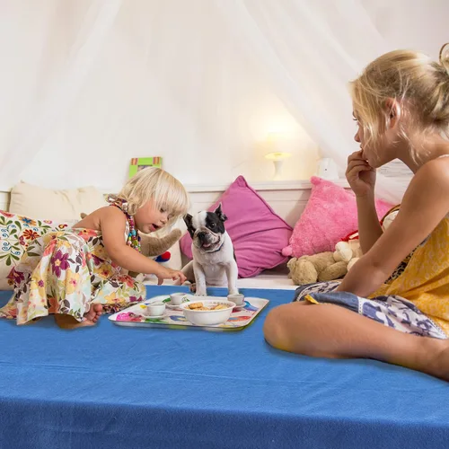 Miniatura 6 de Manta de forro polar a granel, ligera, cálida, suave y acogedora, apta para mascotas, para el hogar, cama, sofá, dormitorio, oficina, regalo de Azul