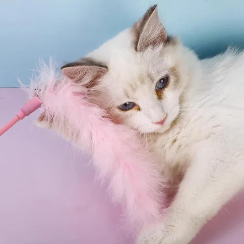 Miniatura 5 de IUHKBH Juguetes de varita para gatos, 3 varitas interactivas de plumas coloridas con campana para gatos y gatitos