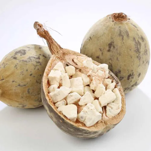 Miniatura 3 de 6 semillas de baobab (Adansonia) - Semillas de árbol Baobab - Planta tropical exótica rara