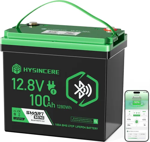 Batería LiFePO4 Bluetooth de 12 V 100 Ah, batería de litio del grupo 24, corte de baja temperatura, BMS inteligente de 100 A, batería LiFePO4 de