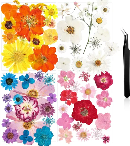Miniatura 12 de Nuanchu Flores secas prensadas negras para manualidades, flores secas góticas, flores silvestres prensadas naturales a granel con pinzas para molde