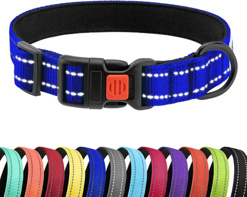 CollarDirect Collar reflectante para perro o cachorro pequeño, mediano y grande con hebilla de liberación rápida, para niños y niñas, nailon Azul