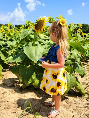Miniatura 2 de Enlifety - Vestidos de princesas para niñas pequeñas sin mangas blusa de mezclilla y faldas de tutú con estampado floral vestido de verano de una