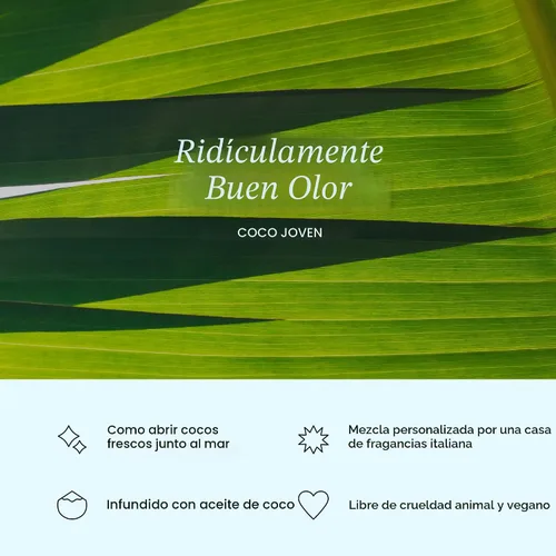 Miniatura 4 de Cocolab Hilo dental tejido, cuidado bucal diseñado por dentistas, aroma a coco, encerado, expandible, vegano, hilo dental amigable para niños