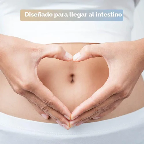 Miniatura 8 de envitamin Slimbiosys Ultra Probiotic Cápsula - Pre y probióticos para mujeres y hombres - Apoya tu microbioma
