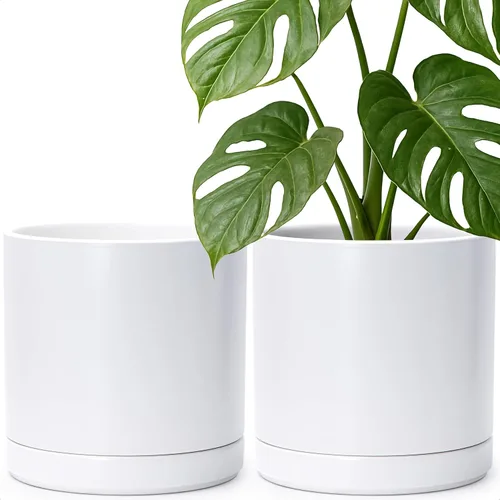 Miniatura 46 de D'vine Dev - Juego de 2 macetas de plantas de 3.5 pulgadas, maceta de cerámica para plantas con agujero de drenaje y platillo, negra, 94-V-A-2