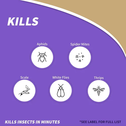 Miniatura 3 de Bonide Jabón insecticida, 32 onzas en aerosol listo para usar, control de insectos multiusos para jardinería orgánica en interiores y exteriores