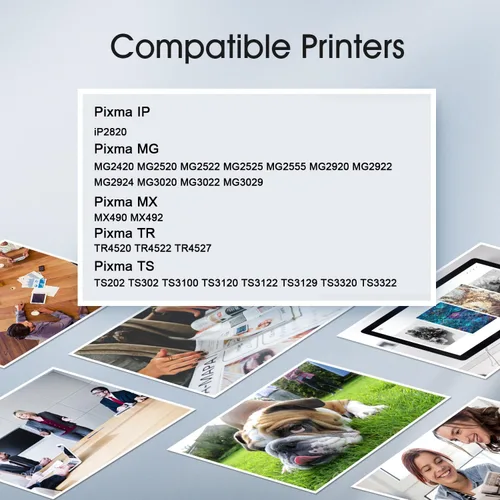 Miniatura 2 de PG-245 XL - Cartucho de tinta de repuesto para impresora Canon 245 245XL, color negro, funciona con PIXMA MG2420 MG2520 MG2522 MG2525 MG2920 MG2922