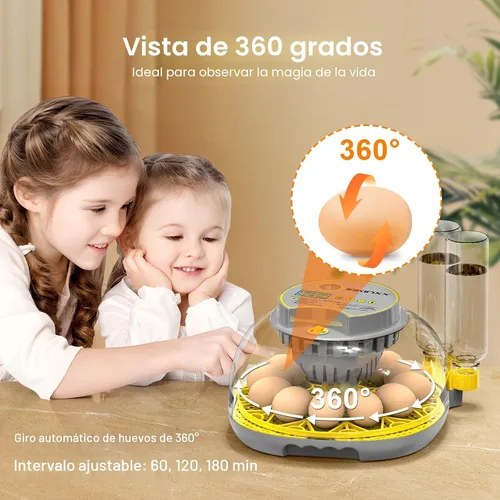 Miniatura 4 de Incubadora para incubar huevos: capacidad de 12 huevos, nuevo cambiador automático de huevos 2026, control de temperatura y humedad, visualización