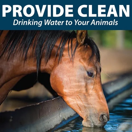 Miniatura 5 de Airmax Depósito de Defensa para Ganado, Limpiador de Canales de Agua para Ganado, Limpia Tanques de Agua Potable para Caballos, Vacas, Cabras