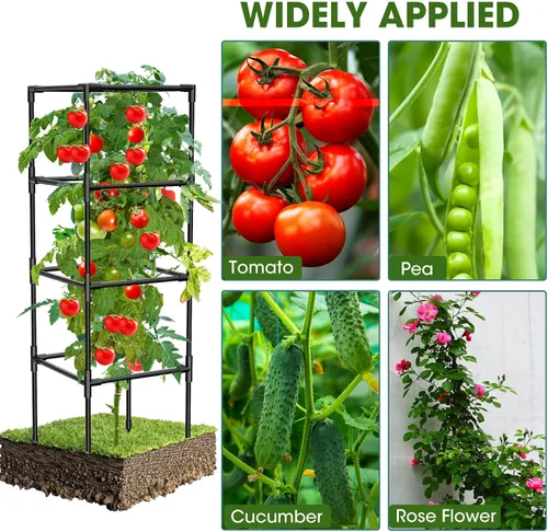 Miniatura 6 de Paquete de 3 jaulas de tomate, estacas cuadradas para plantas de tomate, jaulas de soporte para jardín, escalada, verduras, flores, frutas, extra
