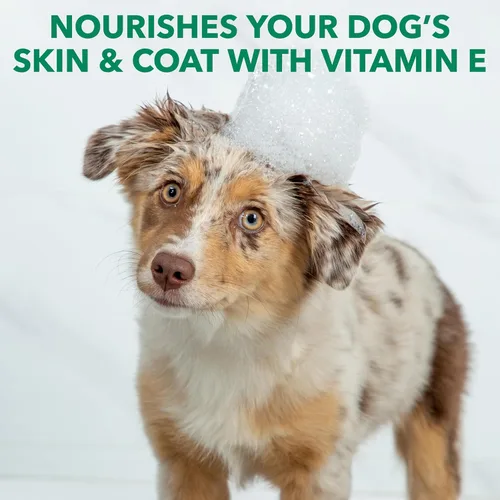 Miniatura 6 de Hartz Nature's Shield - Champú para perros Flea & Tick Protección botánica maximizada y prevención con aceites de canela, citronela y romero, 14