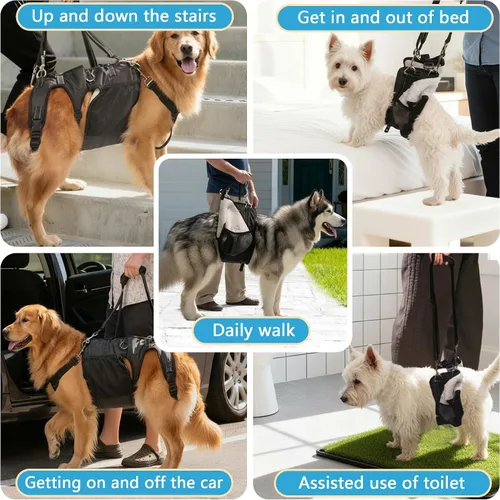 Miniatura 9 de Arnés doble uso para perro SyFatWeen con soporte para las patas traseras y cadera, cabestrillo canino para elevación de perro, ajustable y suave