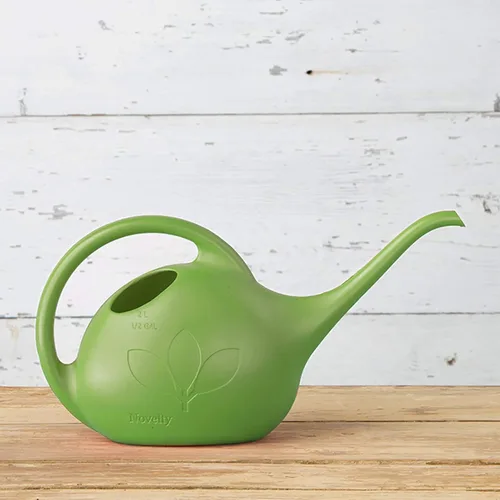 Miniatura 3 de Novelty 30601 - Regadera para interiores, 1/2 galón, verde