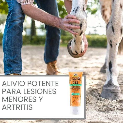 Miniatura 4 de Absorbine Gel de linimento veterinario, ungüento analgésico tópico de mentol para músculos adoloridos, dolor de articulaciones y artritis, paquete