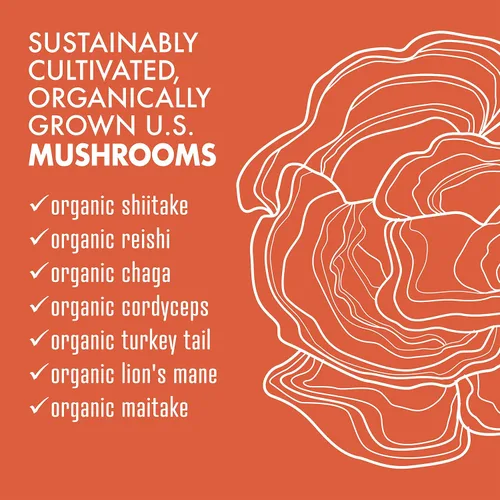 Miniatura 4 de BlueBonnet Nutrition Myco-7 Mushroom Defense - 7 hongos orgánicos de ciclo completo, para el sistema inmunológico y el bienestar, sin soja, sin