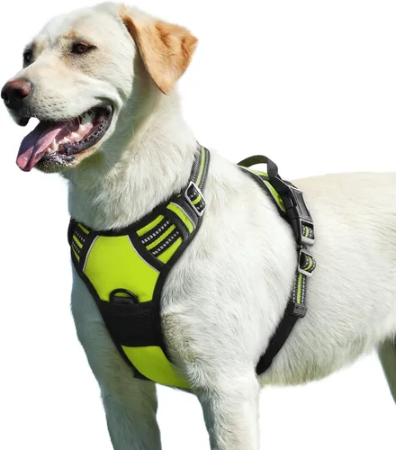 Miniatura 78 de Eagloo Arnés para perro pequeño, sin tirones, chaleco de servicio con tiras reflectantes y asa de control, ajustable y cómodo para caminar, arnés
