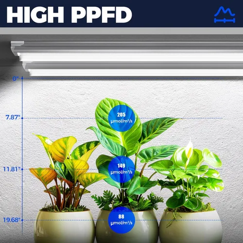 Miniatura 4 de Barrina Luces de cultivo para plantas de interior, 3 pies, 5000 K, luz diurna blanca de espectro completo, 180 W (6 x 30 W, equivalente a 1000 W)