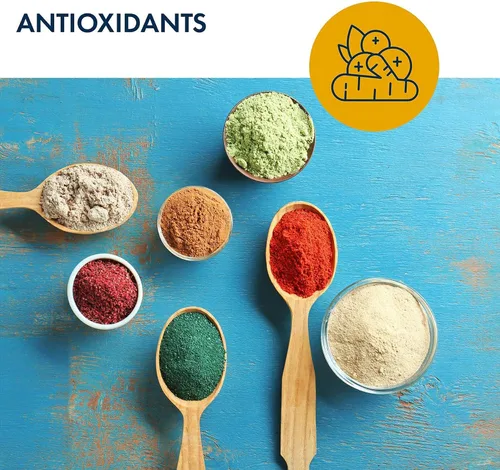 Miniatura 4 de Metabolic Maintenance Ácido alfa lipoico de 300 mg – Suplemento de ALA, ácido alfa-lipoico antioxidante para mujeres y hombres, apoyo a la salud