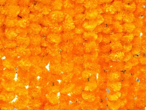 Miniatura 4 de 10 guirnaldas de caléndula de 5 pies Decoración de manto de boda indio/americano, guirnaldas de imitación, decoración de Diwali, arbusto floral