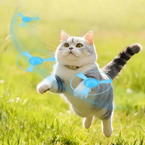 Miniatura 2 de 1 Unidades Divertido Gato Fuera Del Gatito Lanzador Pistas De Gato Platillo Lanzador De Discos Disparo Interior Interactivo Juguete Volador Disco