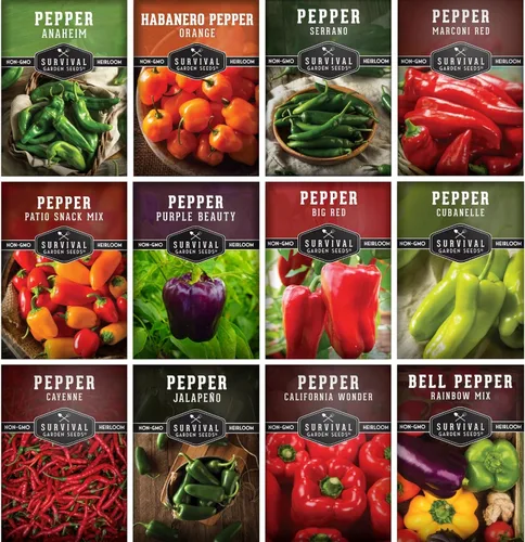 Miniatura 10 de 8 Colección de semillas de pimiento Variedades autóctonas – Marconi, Chocolate Beauty, Cayenne y más Semillas no transgénicas para plantar